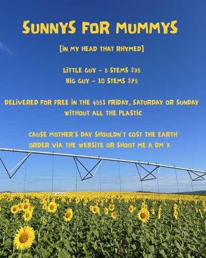 LOCALS ONLY MOTHERS DAY EDITION