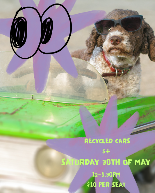 RECYCLED CARS SATURDAY 30TH OF MAY [5+]